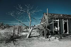 Images Dated 28th December 2008: USA, California, Cima, Mojave National Preserve, abandoned Mojave Desert ranch, winter