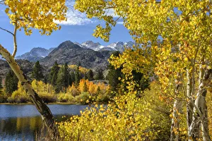 Eastern Sierra Prints: USA, California, Eastern Sierra, Bishop, Bishop creek in fall