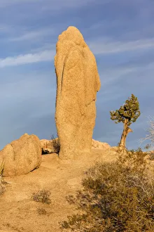 USA, California, Joshua Tree National Park