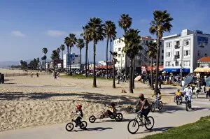 Coast Line Gallery: USA, California, Los Angeles, Venice Beach