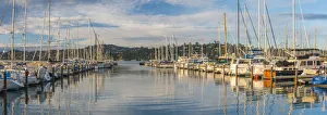 Images Dated 15th March 2017: USA, California, Marin County, Sausalito