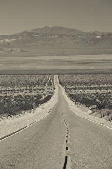Images Dated 28th December 2008: USA, California, Mojave Desert, Amboy Road