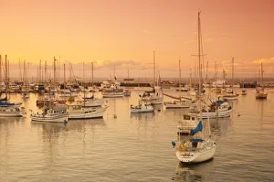 USA, California, Monterey, Marina