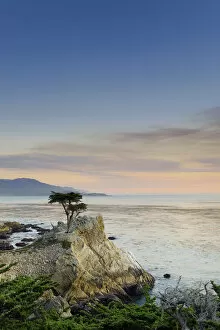 Images Dated 8th June 2009: USA, California, Monterey Peninsula, 17 mile drive, Lone Cypress