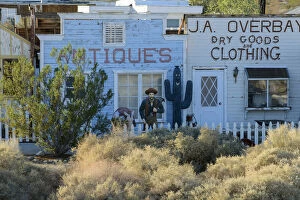 USA, California, Pearsonville, The Golden Cactus Ghost Town