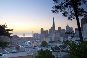 USA, California, San Francisco, Downtown and TransAmerica Building