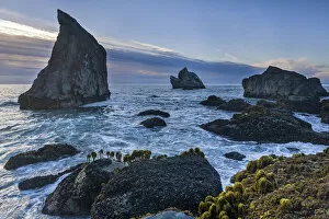 Images Dated 15th November 2021: USA, California, West Coast, Patricks Point State Park