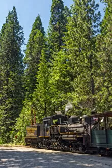 Images Dated 15th March 2017: USA, California, Yosemite National Park, Yosemite Mountain Sugar Pine Railroad, Logging