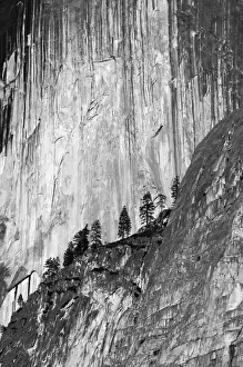 USA, California, Yosemite National Park, Half Dome