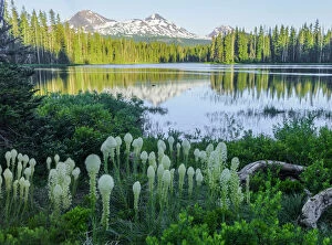 Images Dated 6th August 2020: USA, Cascades, Oregon, mountains and Scott Lake with Bear Grass
