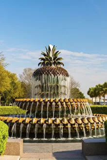USA, Charleston historical district. Pineapple fountain in waterfront park