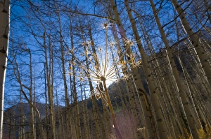 USA, Colorado