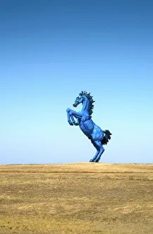 Images Dated 6th November 2018: USA, Colorado, 32 High Blue Mustange Sculpture, Public Arts Commission, Denver