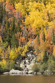 USA, Colorado, Grand County, Rocky Mountain National Park, Bear Lake in autumn