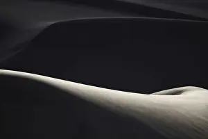 Dune Prints: USA, Colorado, Great Sand Dunes National Park and Preserve