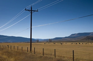 Country Side Prints: USA, Colorado, near Granby, farmland