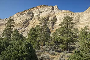 USA, Colorado Plateau, Utah, Grand Staircase-Escalante National Monument, Burr Trail