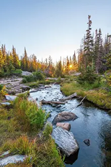 Brook Prints: USA, Colorado, Rocky Mountain National Park, Tyndall Creek near Dream Lake at sunrise