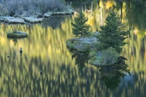 USA, Colorado, Rocky Mountains, Aspen, Pond at dawn near Aspen