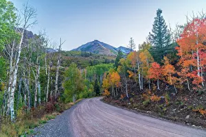 Telluride Prints: USA, Colorado, Telluride, Hastings Mesa, Last Dollar Road