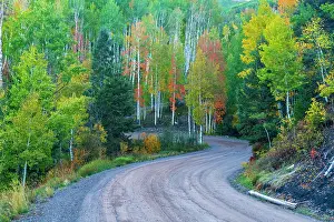 Telluride Prints: USA, Colorado, Telluride, Hastings Mesa, Last Dollar Road