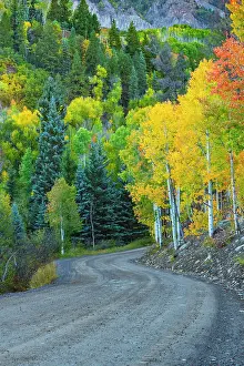 Telluride Prints: USA, Colorado, Telluride, Hastings Mesa, Last Dollar Road