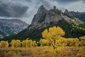 USA, Colorado, Uncompahgre, National Forest, Owl Pass, autumn, foliage, Box Elder, american, west, western, culture, horses, herding, old west, landscape, scenic, mountains