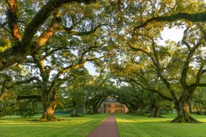 Deep South Prints: USA, Deep South, Louisiana, Great river Road, Oak Alley Plantation