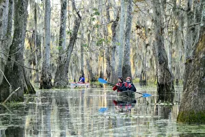 Deep South Prints: USA; Deep South; Louisiana; St. Martin Parish; Lake Martin