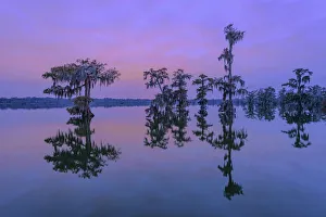 USA, Deep South, Louisiana, St. Martin Parish, Lake Martin