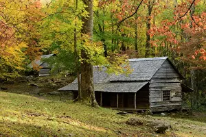 Deep South Prints: USA, Deep South, Tennessee, Great Smokey Mountains, National Park, Noah Bud Ogle Cabin