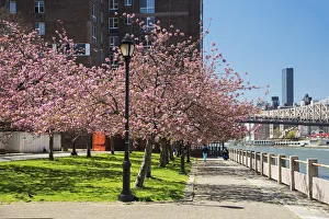 USA, East Coast, New York, Midtown, East River, Roosevelt Island