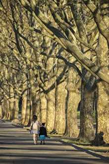 USA, East Coast, New York, Queens, Flushing Meadowsaa'Corona Park