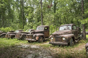 USA, Florida, Crawfordville, Wakulla County, Ford Truck Collection, Big Bend Scenic Byway