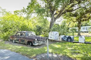 USA, Florida, Everglades, Big Cypress National Preserve, Loop Road