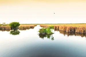 USA, Florida, Everglades, Sawgrass Prairies, River Of Grass, Everglades National Park