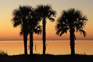 USA, Florida, Franklin County, Gulf of Mexico, Apalachicola, St