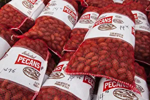USA, Florida, Ocala National Forest, Barberville, bagged pecans
