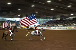 Images Dated 21st October 2019: USA, Florida, Ocala, Rodeo, Calf Roping, Horseback Riding