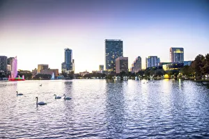 USA, Florida, Orlando, Lake Eola, Lake Eola Park, Swans, Downtown Skyline