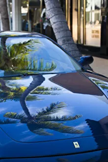 Images Dated 23rd May 2013: USA, Florida, Palm Beach, Worth Avenue, palm tree reflected in Ferrari sportscar
