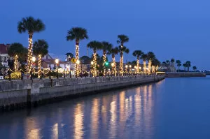 Images Dated 26th March 2010: USA, Florida, Saint Augustine, Nights of Lights Christmas Celebration, Palm