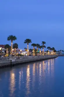 USA, Florida, Saint Augustine, Nights of Lights Christmas Celebration, Palm