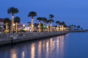 USA, Florida, Saint Augustine, Nights of Lights Christmas Celebration, Palm