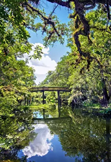 Southern Usa Prints: USA, Florida, Tampa, Hillsborough County