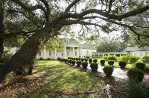 Tree Branch Prints: USA, Florida, White Springs, Stephen Foster Folk Culture Center State Park, Gateway
