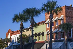 USA, Georgia, Brunswick, downtown buidings and palms