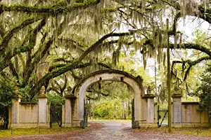 USA, Georgia, Savanah, Gateway and tree lined drive way at the Wormsloe Plantation