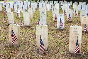 Images Dated 16th May 2016: USA, Georgia, Savannah, Flags at Bonaventure cemetery