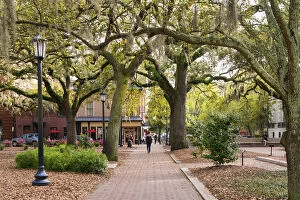 USA, Georgia, Savannah, Typical square in the Historical district
